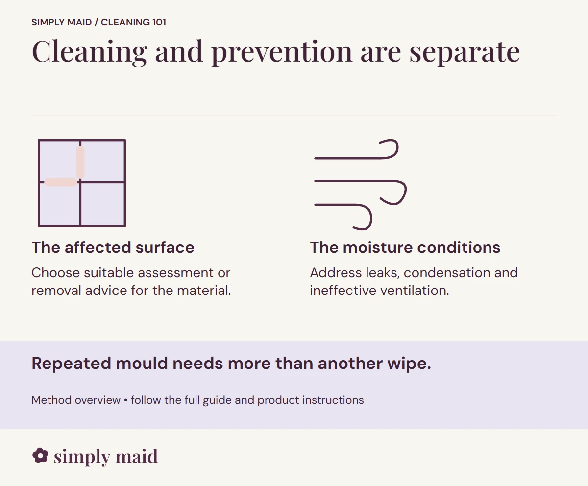 Cleaning and prevention are separate. Repeated mould needs more than another wipe.